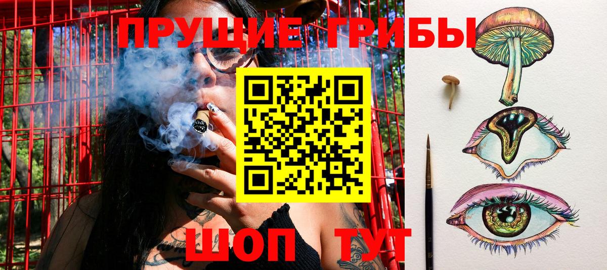 Гусь-Хрустальный  Галлюциногенные грибы Magic Shrooms  Вход с VPN  Галлюциногенные грибы GOLDEN TEACHER 
